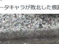 路上に残る〝データキャラ敗北の痕跡〟に9.2万人の妄想膨らむ　「確率99%は死亡フラグだとあれほど...！」
