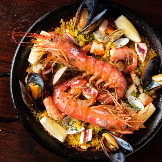 イリア・クエスタのプレスリリース画像