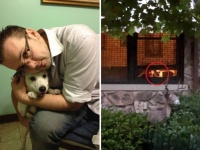 11年間欠かさず、窓際で飼い主の帰りを待ち続けた犬が亡くなる。その思い出を飼い主がシェア