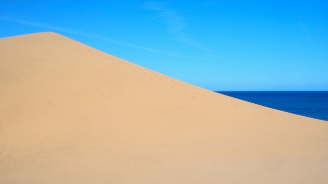 「世界のバグか？」「拡大してようやくわかるレベル」　絵にしか見えない〝鳥取砂丘の写真〟に10万人驚がく