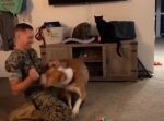 テンションの差…！笑　久々のご主人に飛びつく犬と冷静な猫たち。