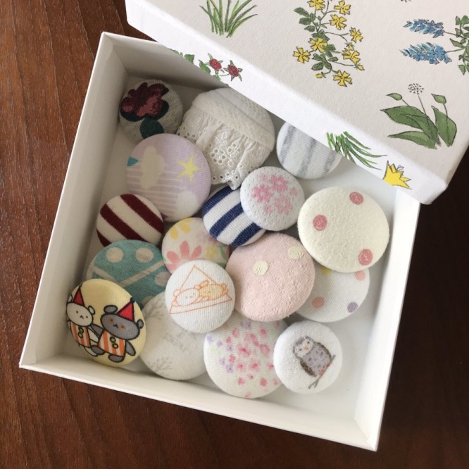 可愛らしい（画像は小鳥ちゃん＠kotori20170813