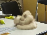 父が〝しめじ〟と言い張るキノコに16万人戦慄「ホント怖い」「無事を祈ります」　ホントにしめじ？専門家の見解は