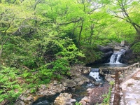 川に温泉が流れて露天風呂になっている滝壺