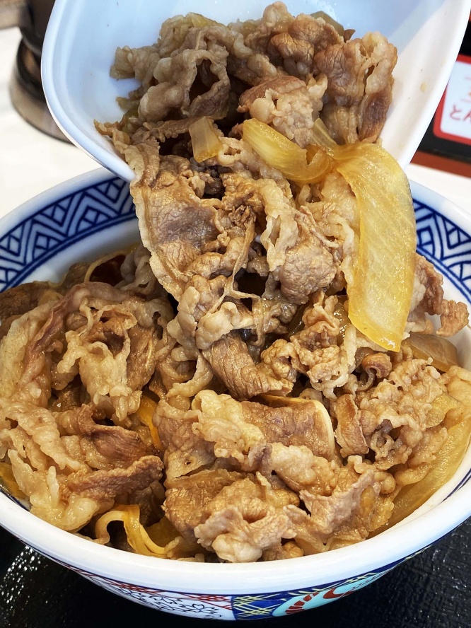 yoshinoya-nikudaku2