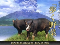 これが話題の「歩く野菜」キャッチコピー（楽天市場内の「黒かつ亭」ページより）
