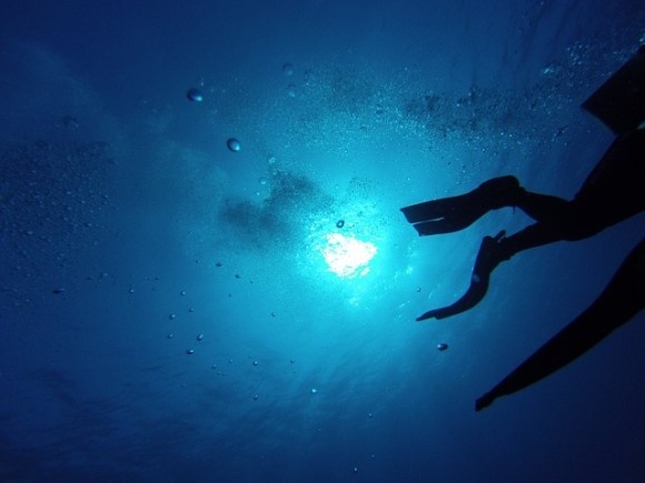 diving-786792_640_e