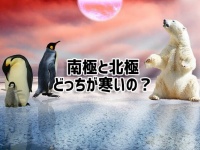 北極と南極、どっちの方が寒いの？