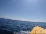 カジキエンジン全開！　海釣りを楽しむ男性が“ミラクル”に遭遇する