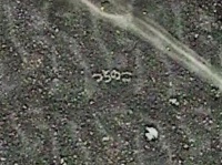 つちのこ...？（C）Google