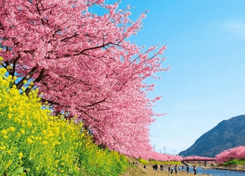 一人旅初心者でも安心! 自分磨きもできる、一人旅限定ツアーとは?#4