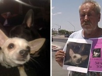 愛犬が迷子になって数か月。飼い主は犬を探してくれた人に自分の全財産である家を譲ると申し出る（アメリカ）