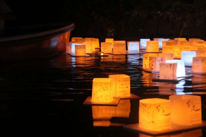 いつまでも眺めていたくなる光景だ......