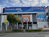 有限会社 Coo&amp;RIKUのプレスリリース画像