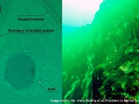 世界で2番目に深いブルーホールを新たに発見、地球の歴史を知る手がかりに
