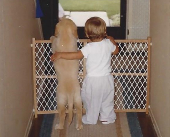 犬が子どもたちにとってかけがえのない存在である理由。