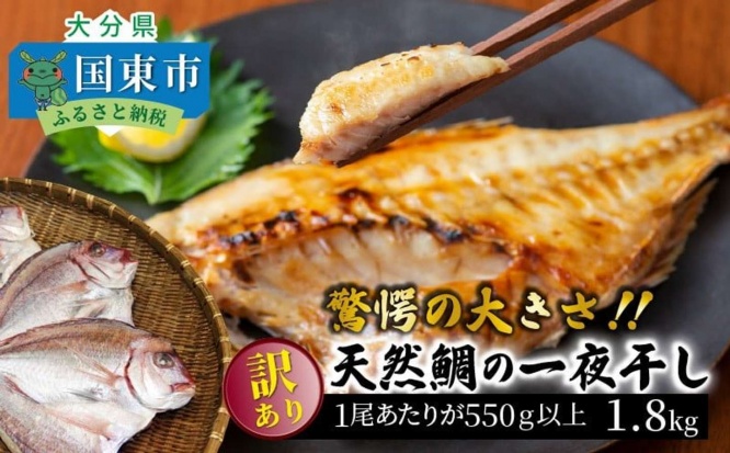 大分県 国東市「驚愕の大きさ!訳あり天然鯛の一夜干し1.8kg」13000円(ふるさとチョイスより)