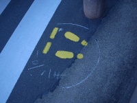 画像はイメージ（Toshiyuki IMAIさん撮影、flickrより）