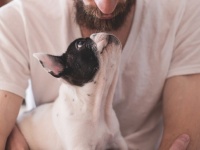 犬は飼い主に似てくる。犬の性格は時間とともに変化することが判明（米研究）