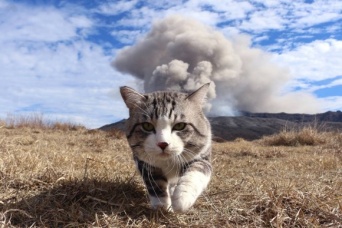 火山噴火をバックに歩く猫があまりにも勇ましかったのでコラ職人がんばる