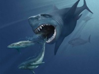 巨大フクロウから巨大サソリまで、かつて地球上に存在していた7種の驚くべき巨大生物たち