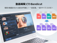 Bandicam Companyのプレスリリース画像