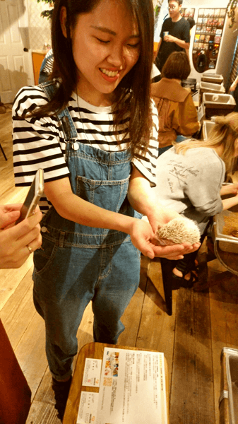 【体験】人気ハリネズミカフェ®HARRYは「見る&触れる」「買う&飼う」ができる新感覚カフェ#4
