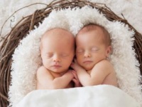 父親のDNAが異なる双子が!?（shutterstock.com）