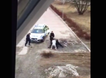 ３対１でも全く屈しない！　警官相手に大暴れする車上荒らし