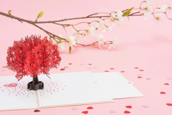 株式会社日照堂のプレスリリース画像