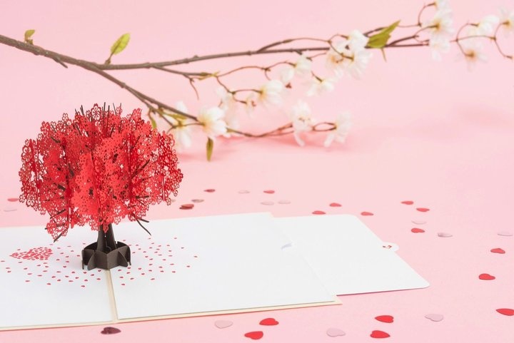 株式会社日照堂のプレスリリース画像