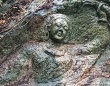 女性の姿を彫刻した岩がタイの森で偶然見つかる。歴史の謎を解明か