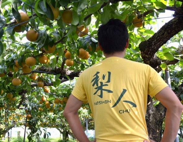 明和の梨のブランド化を目指す「梨人」