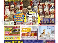 有限会社 Coo&amp;RIKUのプレスリリース画像