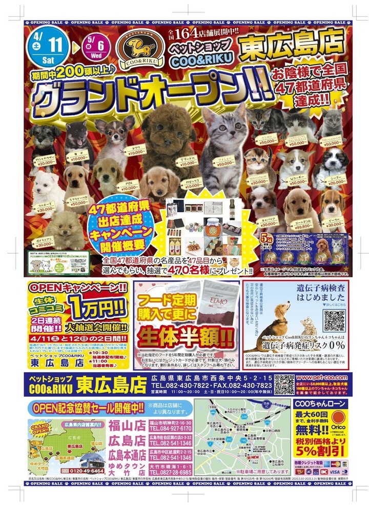 有限会社 Coo&amp;RIKUのプレスリリース画像