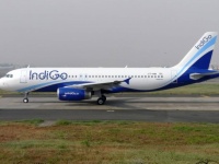 インドの格安航空機の客室内でゴキブリが這い回る事態発生（※G出演中）