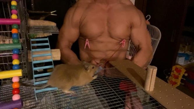 引っ張られる模様