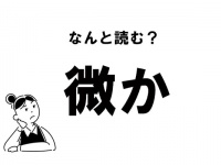 【難読】“びか”？　「微か」の正しい読み方