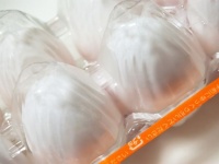 思わず驚く物価の優等生「卵」の価格推移