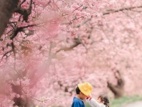 2年前と同じ場所で、兄から妹への「バトンタッチ」　尊すぎる〝定点観測〟に18万人大号泣