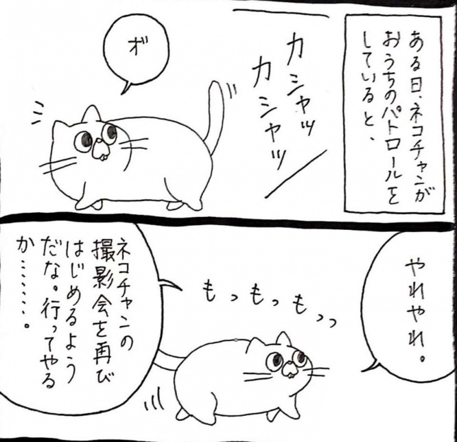 画像はうさぎのみみちゃん@usagitoseinoさんのツイートより