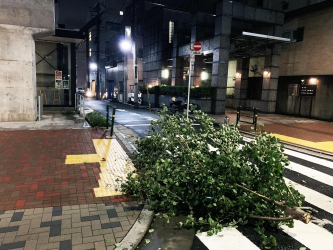 tokyo-taifu1