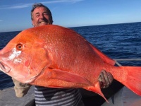 赤くて大きい！全長104センチ、体重22キロの巨大魚が釣り上げられる（オーストラリア）