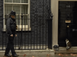 『中に入れて〜』玄関前に佇むイギリス首相官邸の猫ラリー君と警察官のやり取りが面白い