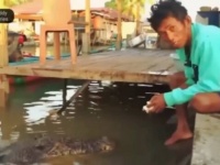 ワニの恩返し？インドにて、自分を助けてくれた漁師のそばを離れなくなったワニ「川をきれいにする」運動のきっかけとなる