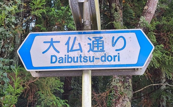 大仏通りの標識(12月17日Jタウンネット編集部撮影＝以下同)