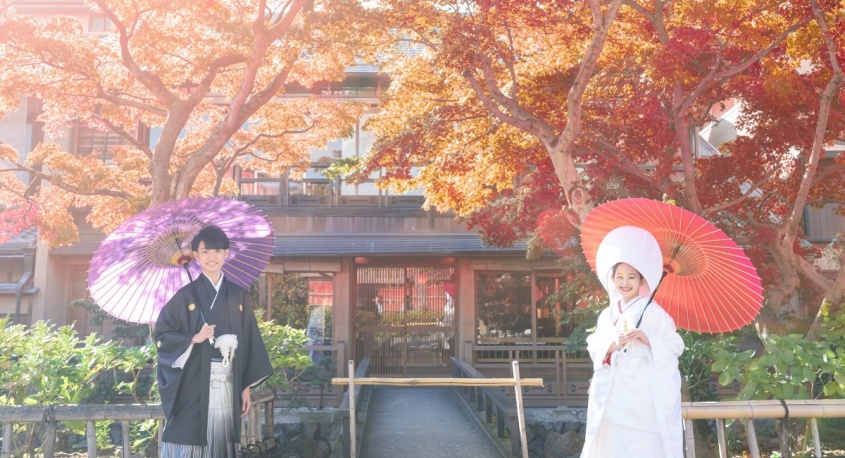 株式会社ディーウェブのプレスリリース画像