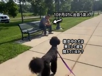 10か月ぶりに再会する友人、果たして犬は覚えているだろうか？