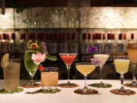 Private garden bar Green Spotのプレスリリース画像
