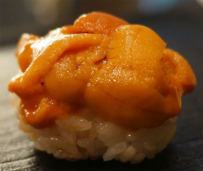 hayashi14